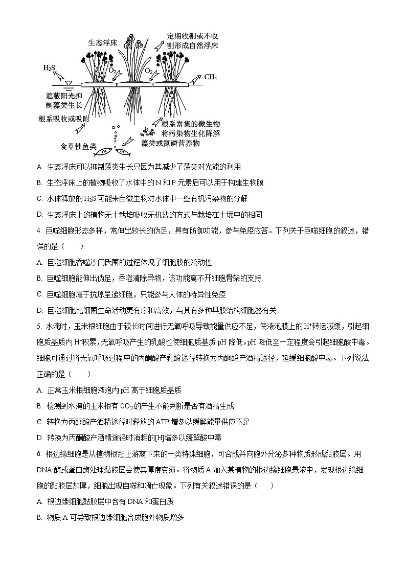 河南省焦作市博爱县第一中学2024-2025学年高三上学期9月月考生物试题  Word版无答案第2页