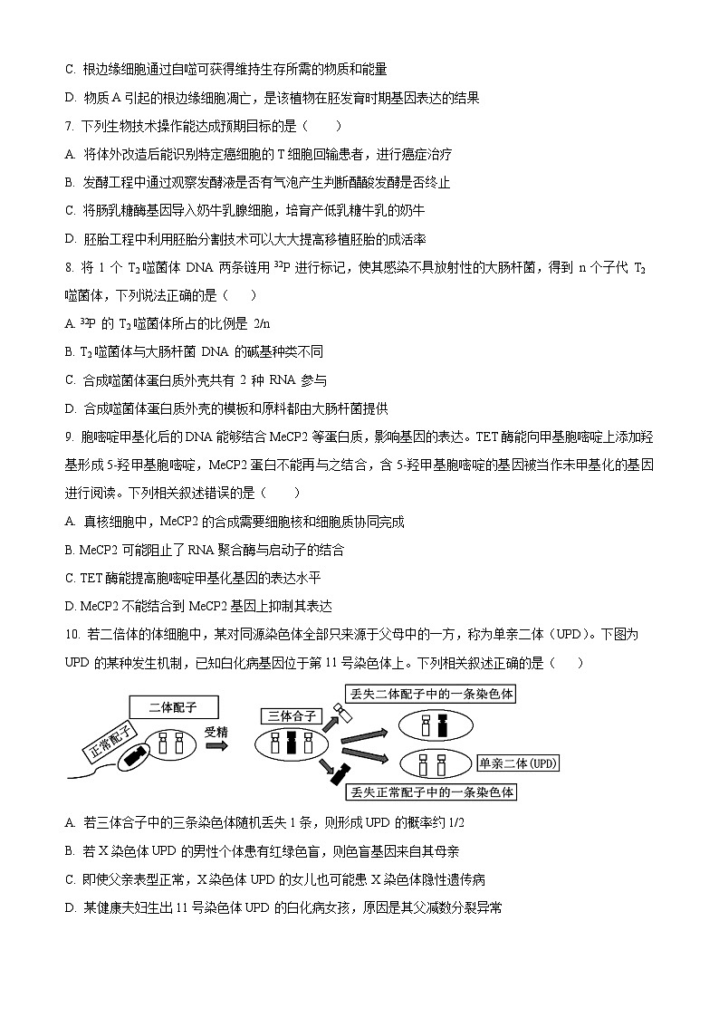 河南省焦作市博爱县第一中学2024-2025学年高三上学期9月月考生物试题  Word版无答案第3页