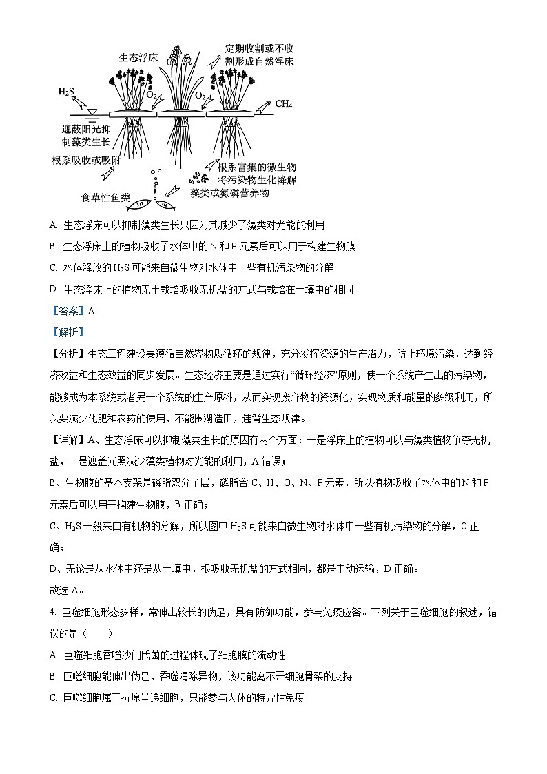 河南省焦作市博爱县第一中学2024-2025学年高三上学期9月月考生物试题  Word版含解析第3页