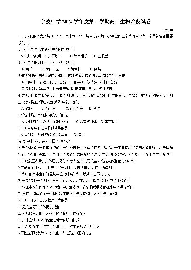 浙江省宁波中学2024-2025学年高一上学期10月阶段测试生物试题01