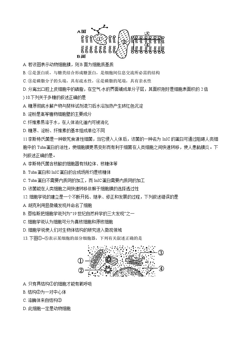 浙江省宁波中学2024-2025学年高一上学期10月阶段测试生物试题02