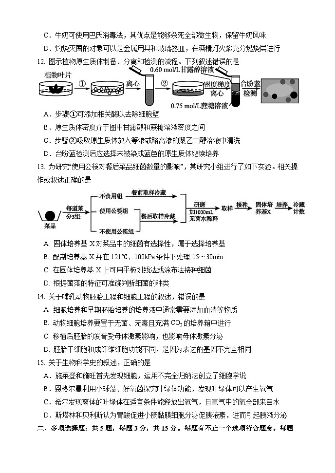江苏省淮阴中学2024-2025学年高三上学期10月学情检测生物试卷03