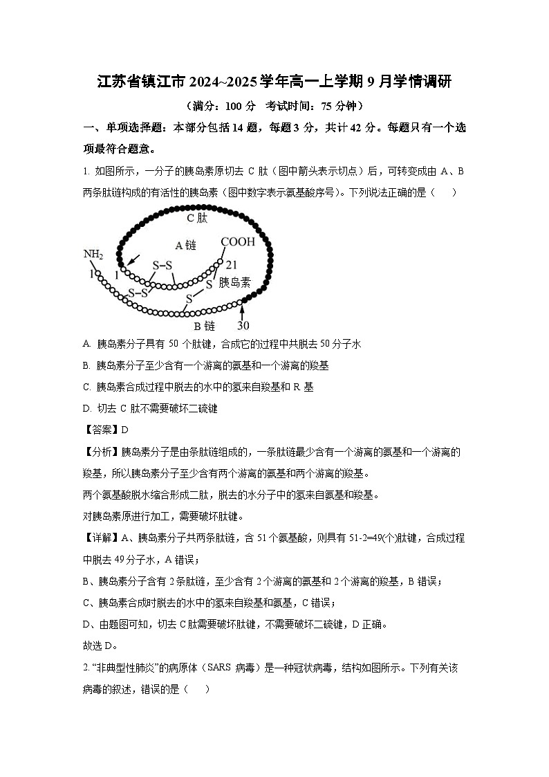 [生物]江苏省镇江市2024_2025学年高一上学期9月月考学情调研(解析版)01