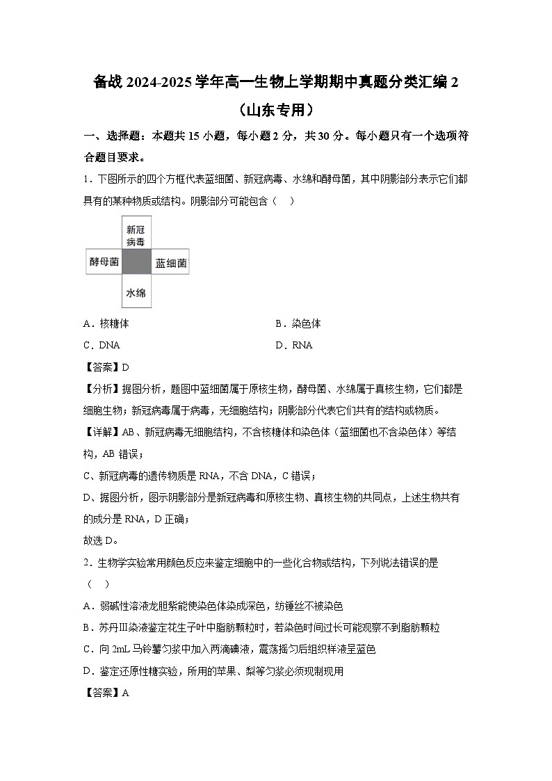 [生物][期中]备战2024-2025学年高一上学期期中真题分类汇编2(山东专用)(解析版)第1页