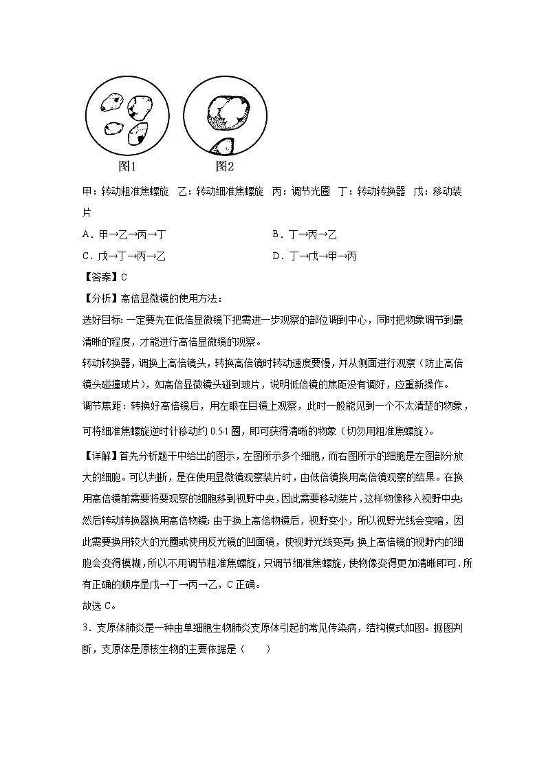 [生物][期中]备战2024-2025学年高一上学期期中真题分类汇编2(北京专用)(解析版)第2页