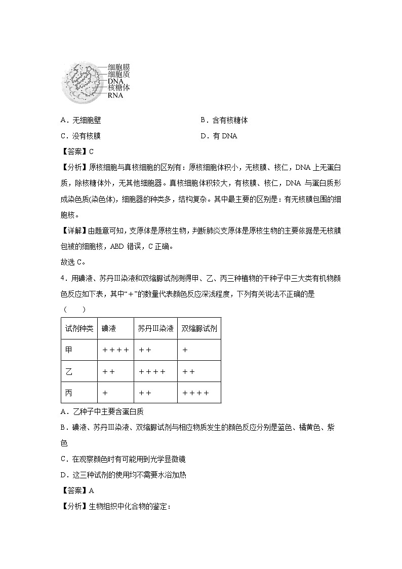 [生物][期中]备战2024-2025学年高一上学期期中真题分类汇编2(北京专用)(解析版)第3页