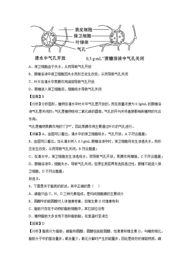 [生物][期中]备战2024-2025学年高一上学期期中真题分类汇编2(人教版)(解析版)第3页
