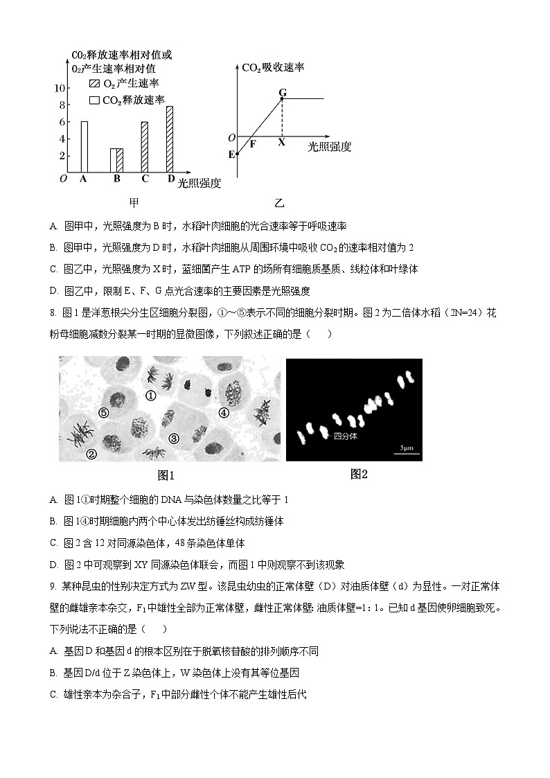 安徽省芜湖市第一中学2024-2025学年高三上学期10月教学质量诊断测试生物试题（Word版附答案）第3页