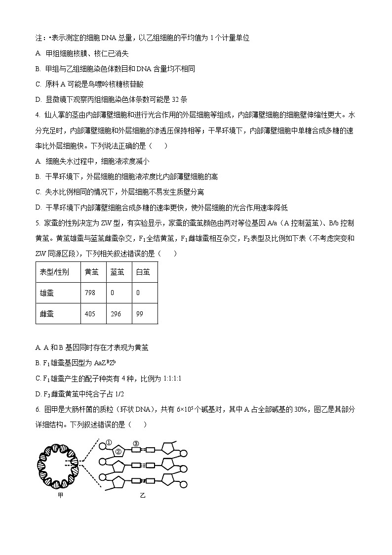 鄂西南三校2024-2025学年高二上学期10月月考生物学试卷 Word版无答案第2页