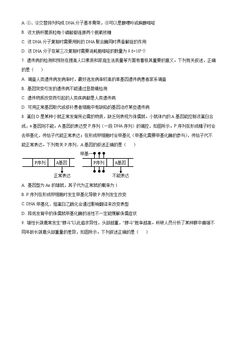 鄂西南三校2024-2025学年高二上学期10月月考生物学试卷 Word版无答案第3页