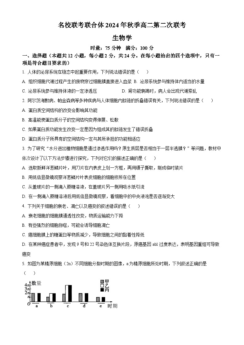 湖南省名校联考联合体2024-2025学年高二上学期第二次联考生物试题（Word版附解析）01