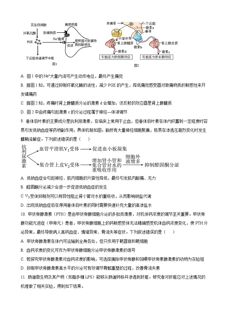 湖南省长沙市师大附中2024-2025学年高二上学期第一次月考生物试题（Word版附解析）03