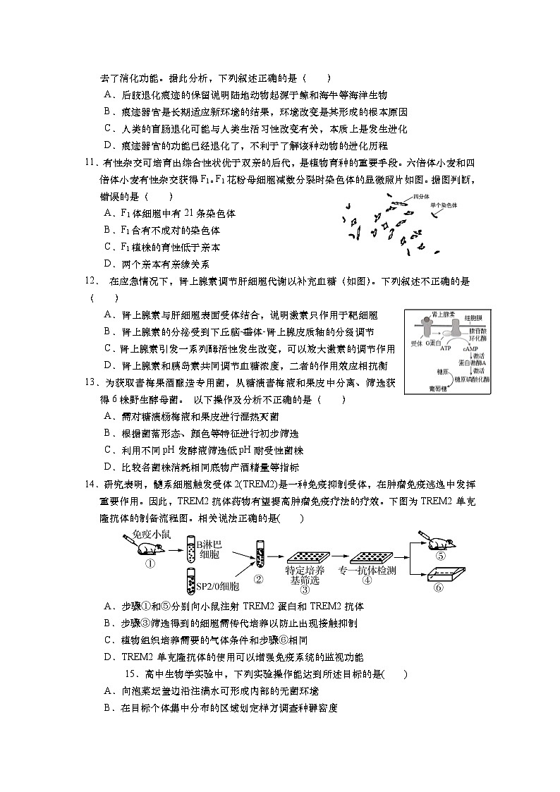 江苏省如皋中学2024-2025学年高三上学期综合练习（一）生物试题（Word版附答案）第3页