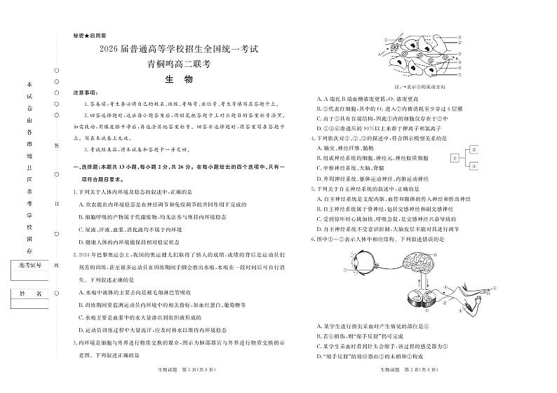 2024-2025河南青铜鸣高二上学期10月联考生物试卷及答案第1页