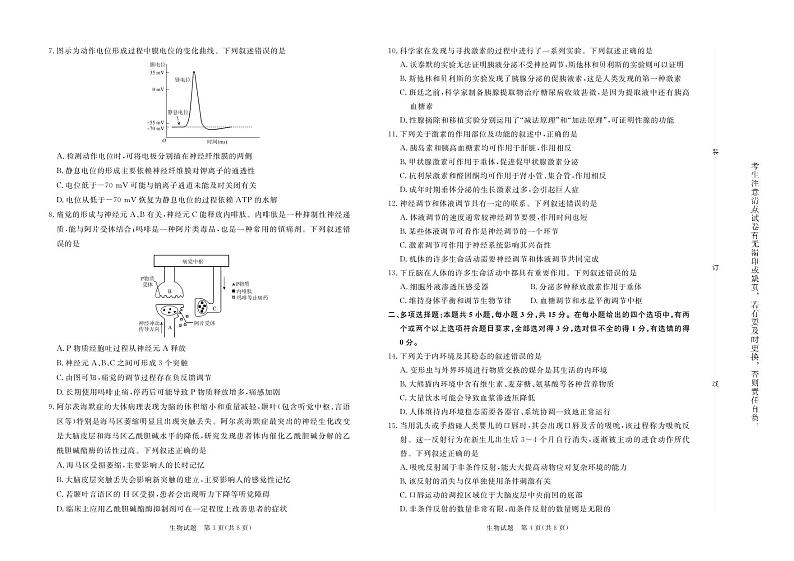 2024-2025河南青铜鸣高二上学期10月联考生物试卷及答案第2页