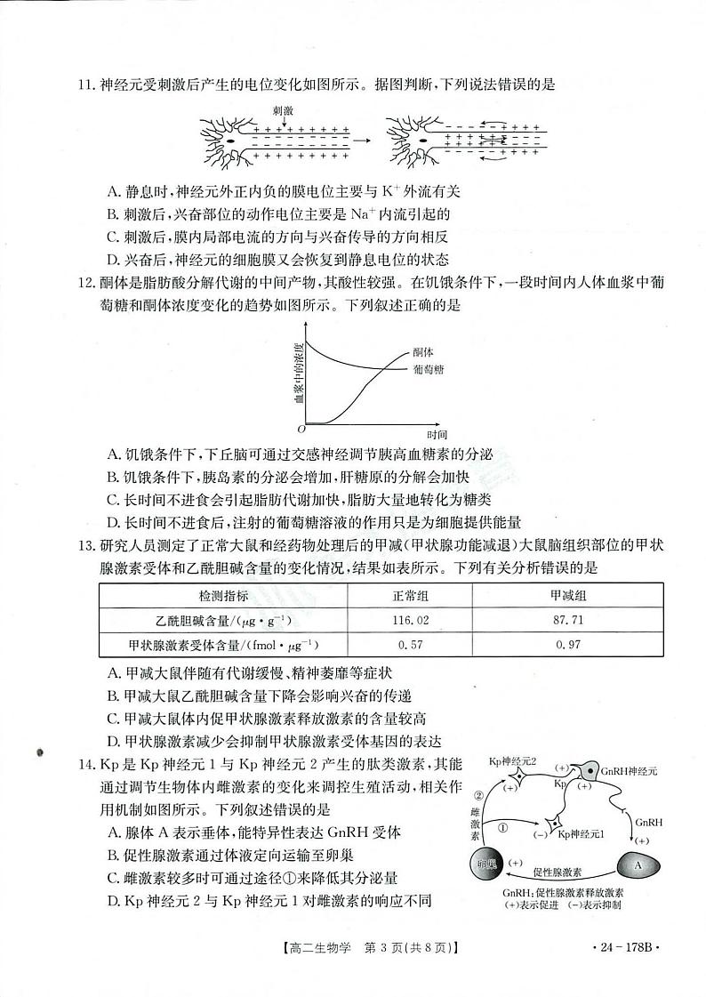 2023-2024河南省新乡市高二上学期期中生物试卷及答案第3页