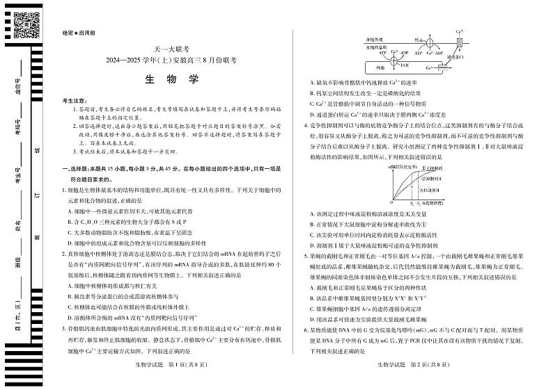 天一大联考2024-2025学年（上）安徽高三8月份联考试卷生物第1页