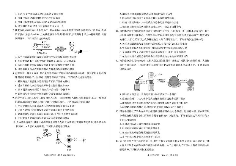 天一大联考2024-2025学年（上）安徽高三8月份联考试卷生物第2页