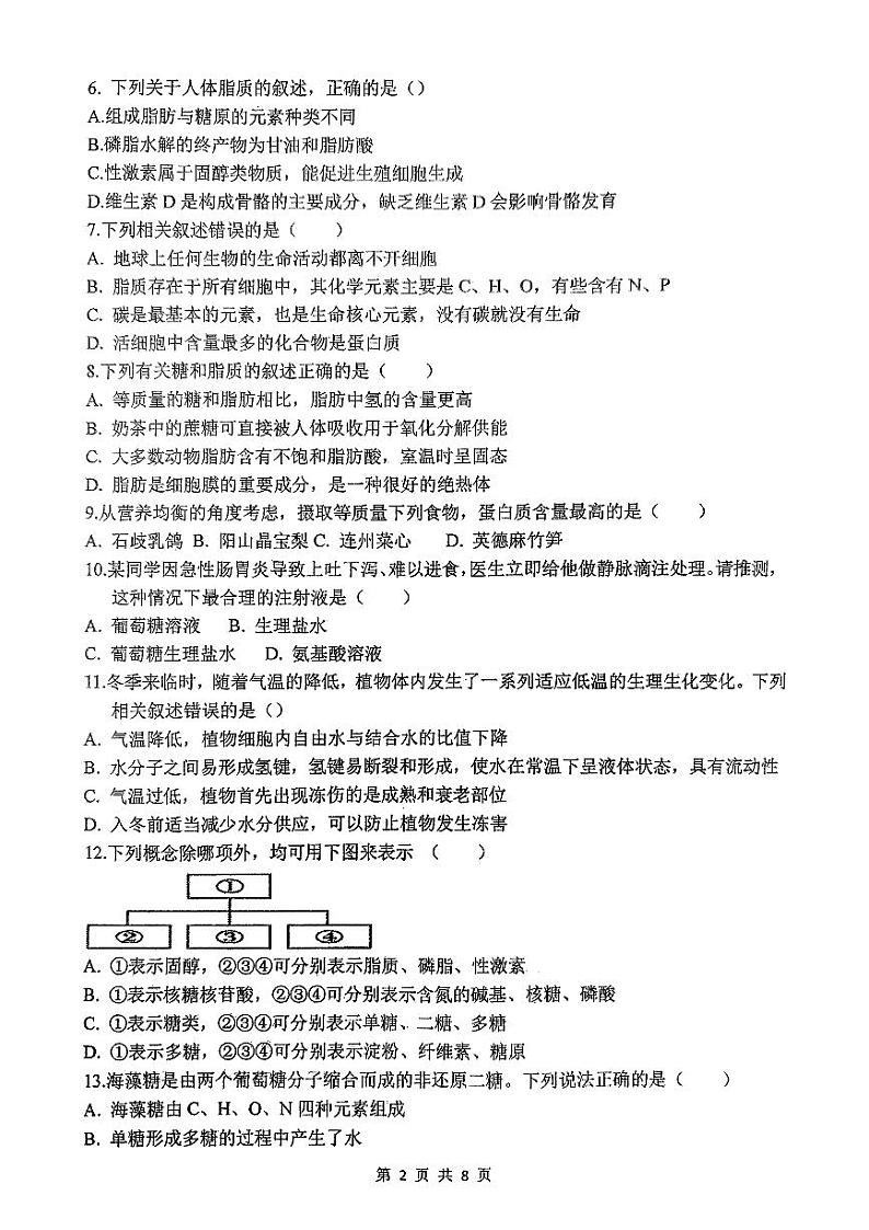 中山华侨中学2024-2025学年高一上学期第一次段考生物第2页