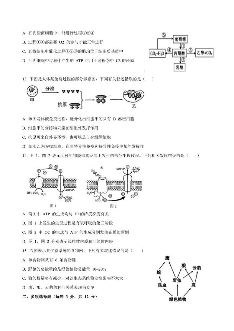 [生物]2024～2025学年江苏省连云港市连云区高三(上)9月第一次月考试题(有答案)第3页