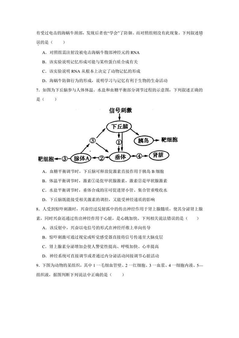 [生物]安徽省亳州市第二完全中学2024～2025学年高二上学期第一次月考学试题(有答案)第2页