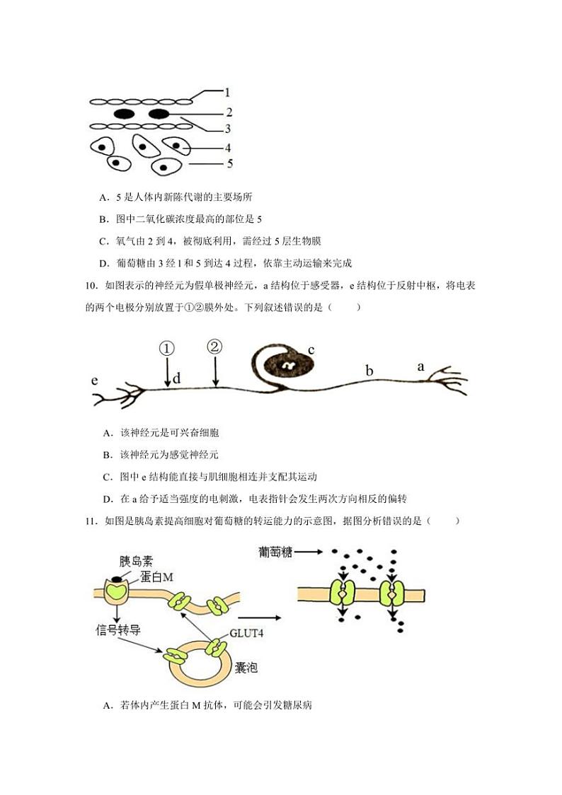 [生物]安徽省亳州市第二完全中学2024～2025学年高二上学期第一次月考学试题(有答案)第3页