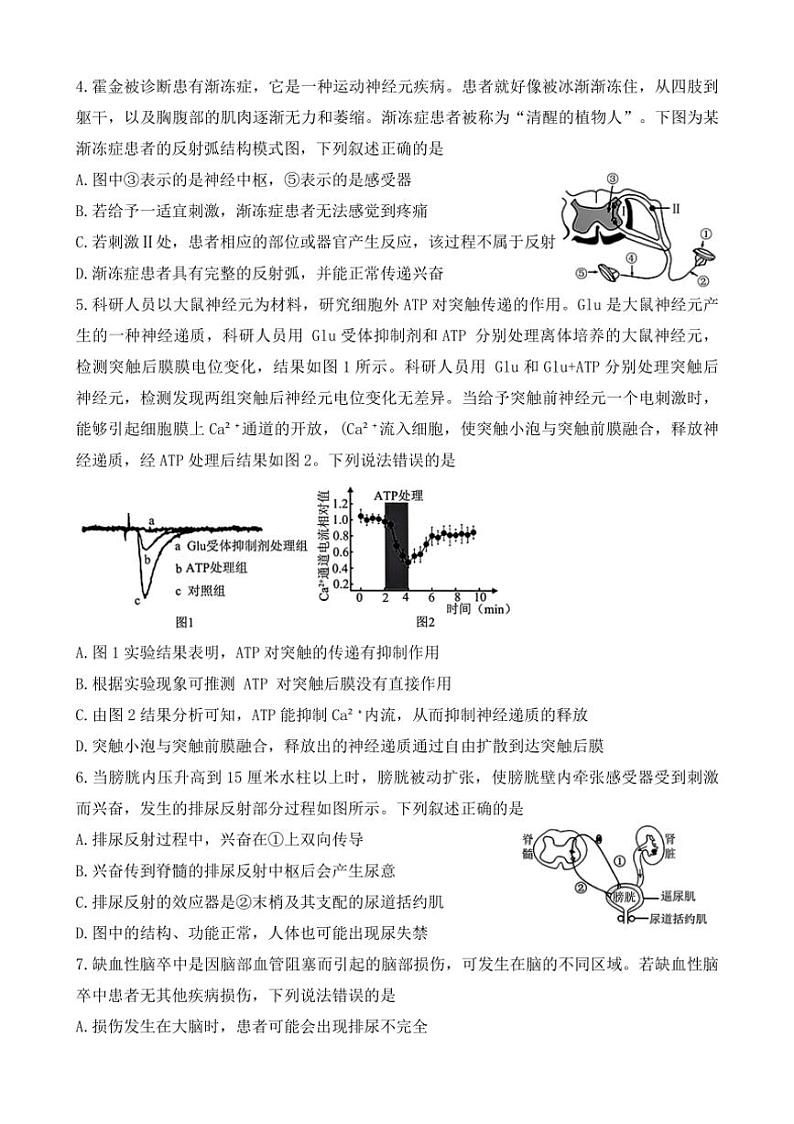 [生物]安徽省阜阳市第三中学2024～2025学年高二上学期第一次调研考试月考试卷(有答案)第2页