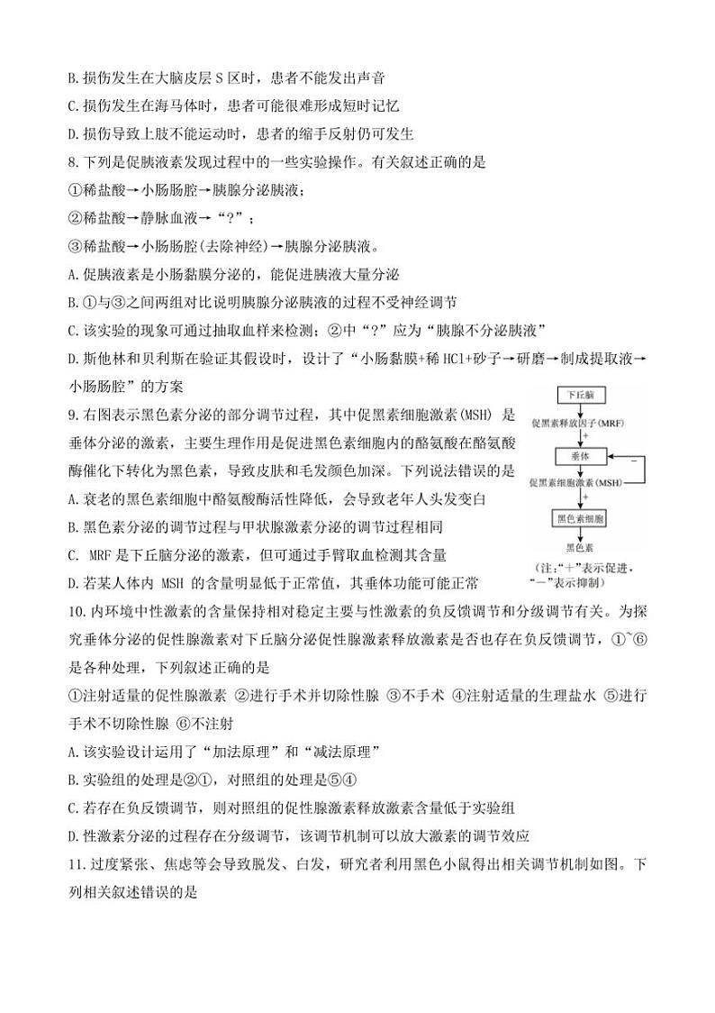 [生物]安徽省阜阳市第三中学2024～2025学年高二上学期第一次调研考试月考试卷(有答案)第3页