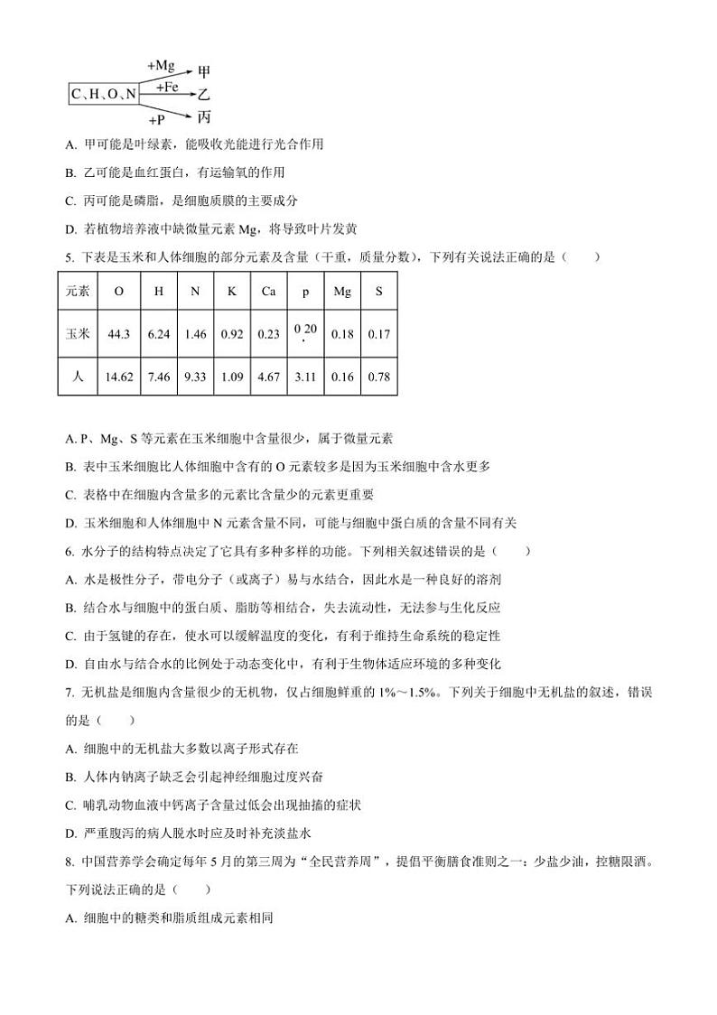 [生物]安徽省合肥市第十中学2024～2025学年高一上学期第一次月考试题(有答案)第2页