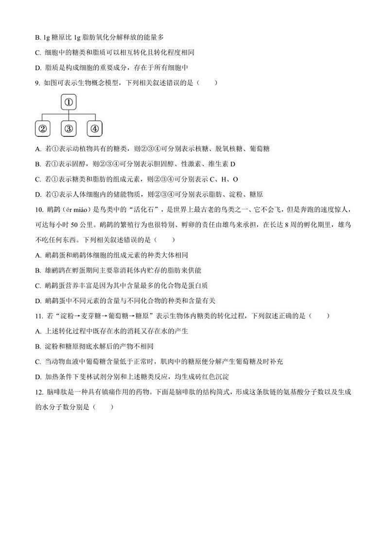 [生物]安徽省合肥市第十中学2024～2025学年高一上学期第一次月考试题(有答案)第3页