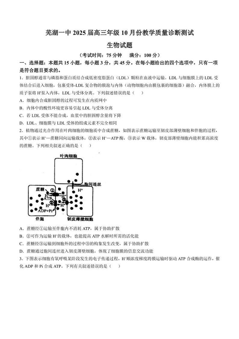 [生物]安徽省芜湖市第一中学2024～2025学年高三上学期10月教学质量诊断测试学试题(有答案)第1页