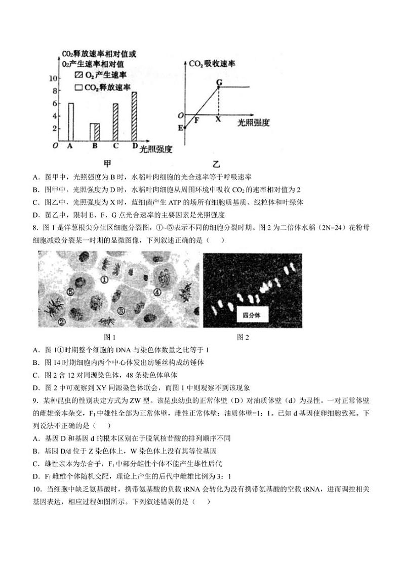 [生物]安徽省芜湖市第一中学2024～2025学年高三上学期10月教学质量诊断测试学试题(有答案)第3页