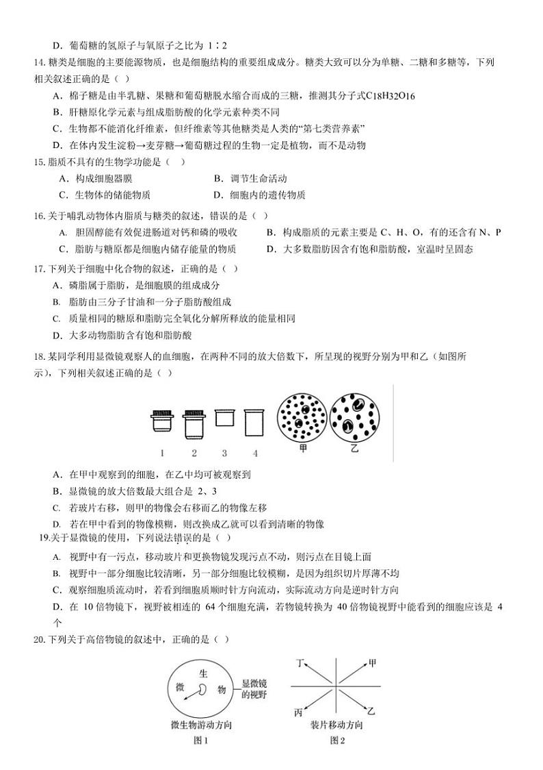 [生物]福建省漳州市华安县正兴学校2024～2025学年高一上学期第一次月考试卷(有解析)第3页
