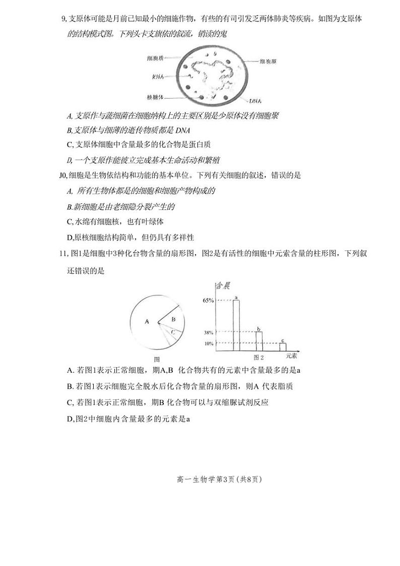 [生物]广东省惠州市惠阳区泰雅实验学校2024～2025学年高一上学期第一次月考学试题(有解析)第3页