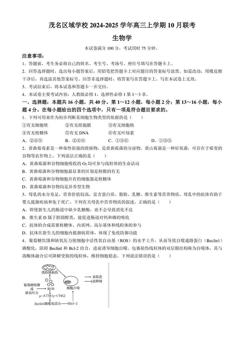 [生物]广东省茂名区域学校2024～2025学年高三上学期10月联考学试题(有答案)第1页