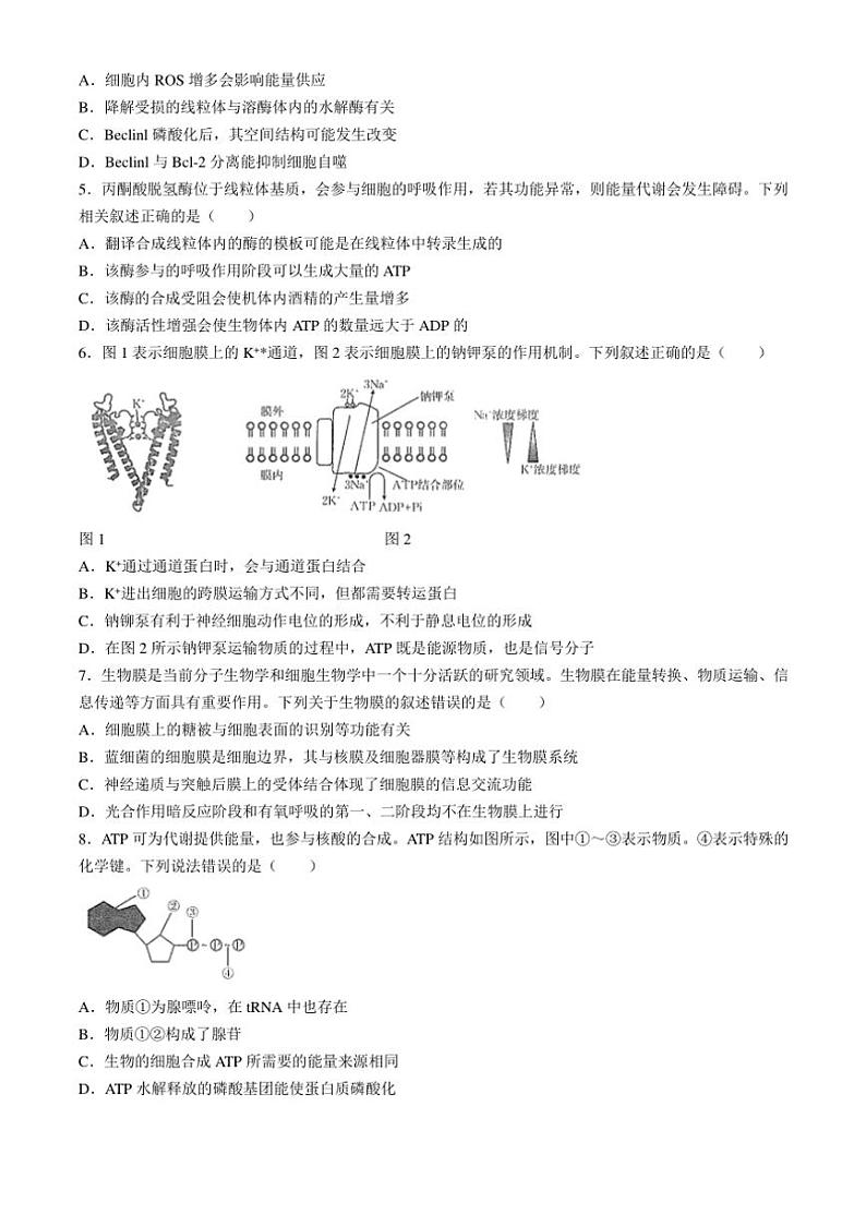 [生物]广东省茂名区域学校2024～2025学年高三上学期10月联考学试题(有答案)第2页