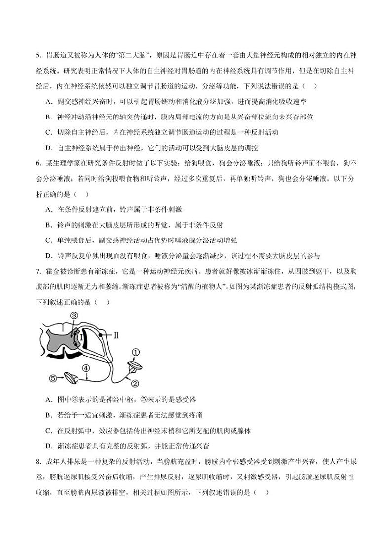 [生物]广东省湛江市雷州市第二中学2024～2025学年高二上学期10月月考学试题(有答案)第2页