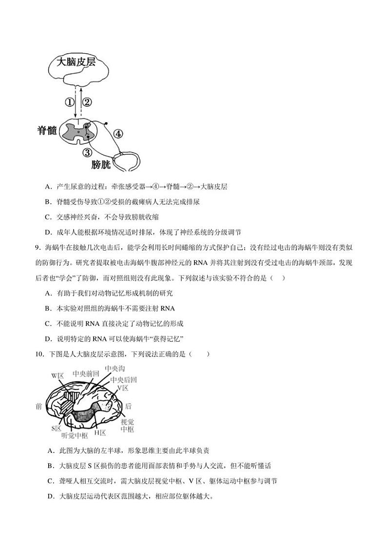 [生物]广东省湛江市雷州市第二中学2024～2025学年高二上学期10月月考学试题(有答案)第3页