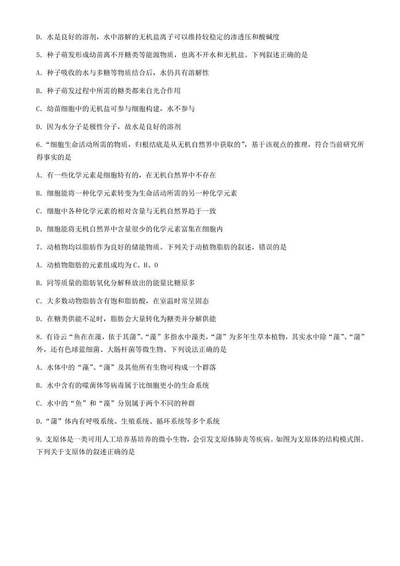 [生物]广西柳州市柳州高级中学2024～2025学年高一上学期10月月考试题(有答案)02