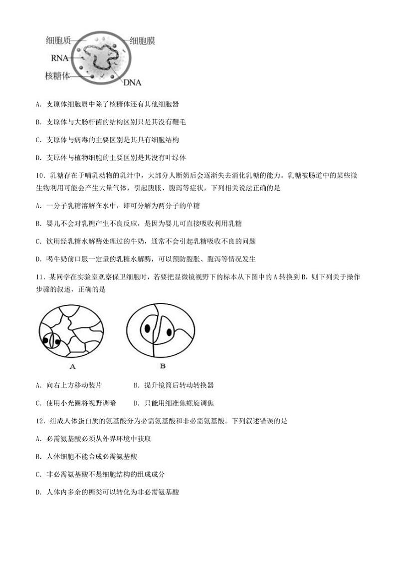 [生物]广西柳州市柳州高级中学2024～2025学年高一上学期10月月考试题(有答案)03