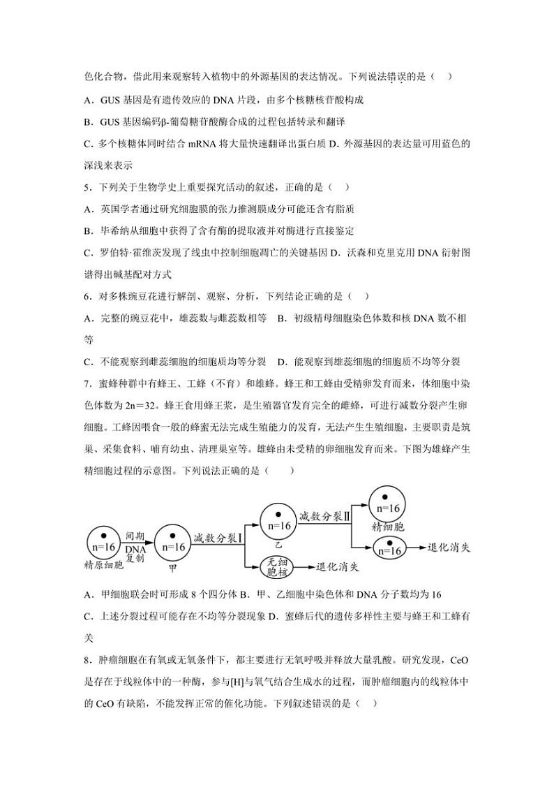 [生物]广西钦州市第四中学2025届高三上学期9月份考试学试题(有答案)02