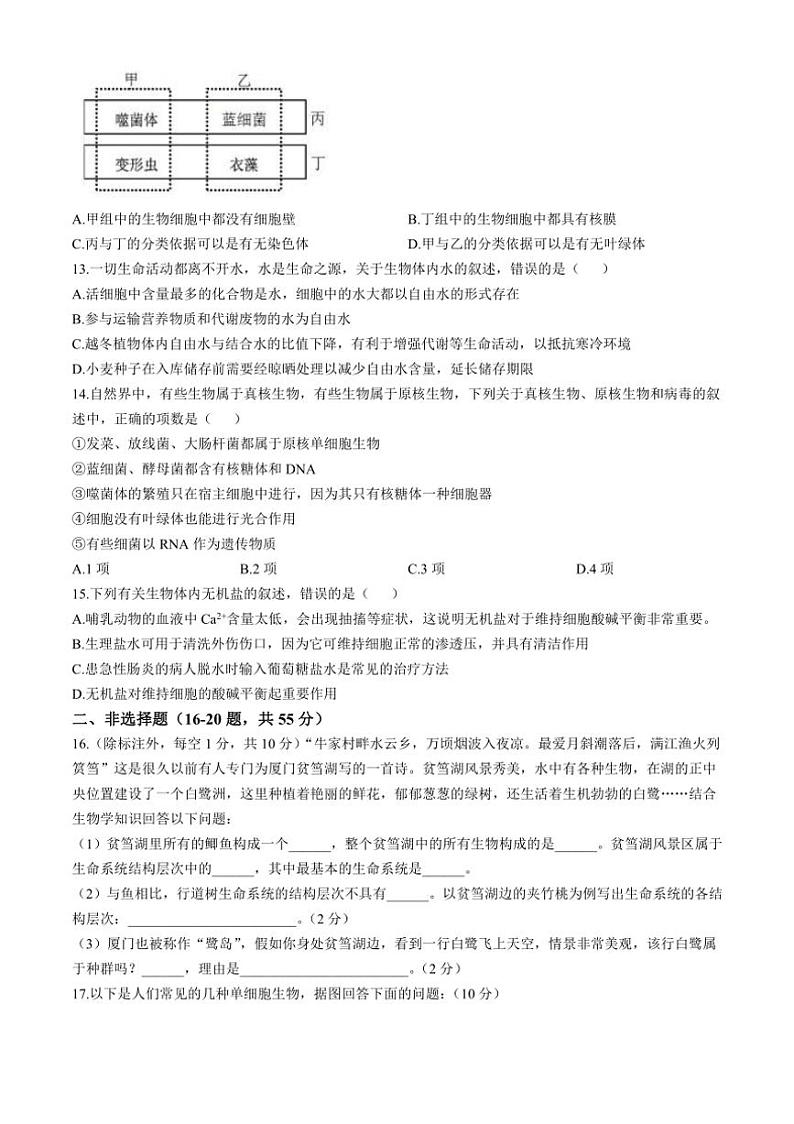 [生物]海南省屯昌中学2024～2025学年高一上学期第一次月考试题(有答案)第3页