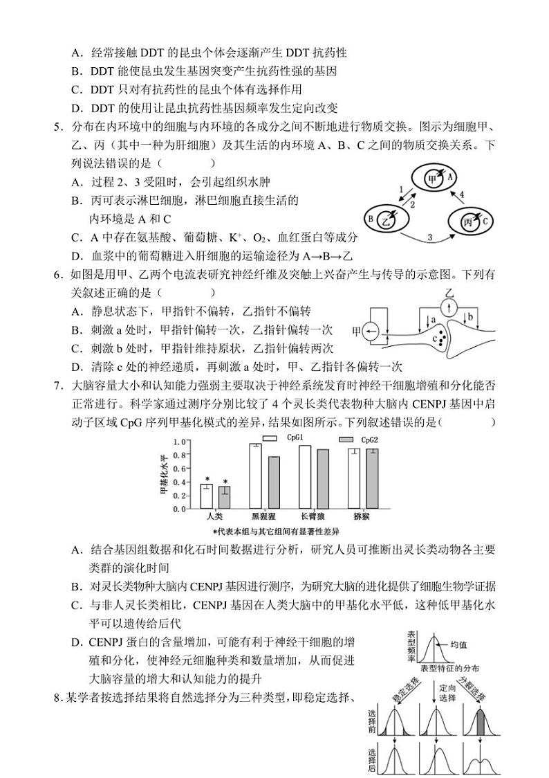 [生物]海南省文昌市文昌中学2024～2025学年高二上学期第一次月考学试题(有答案)第2页