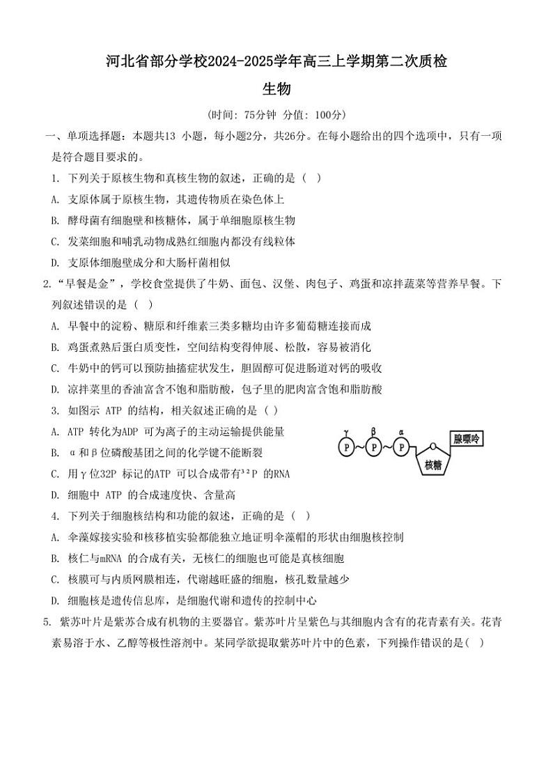 [生物]河北省部分学校2024～2025学年高三上学期第二次质检学月考试题(有答案)01