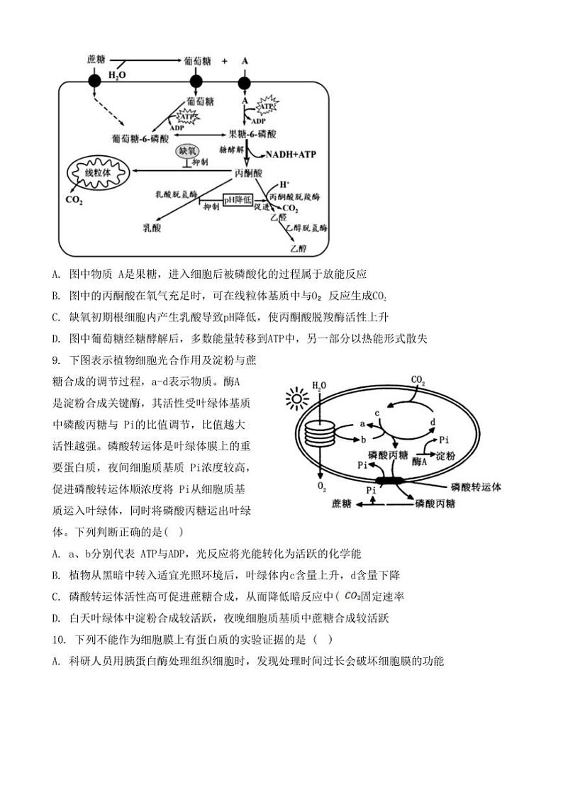 [生物]河北省部分学校2024～2025学年高三上学期第二次质检学月考试题(有答案)03