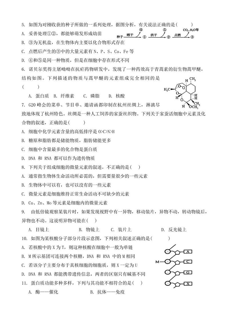 [生物]湖南省衡阳市耒阳市第一中学2024～2025学年高一上学期第一次月考题(有答案)第2页