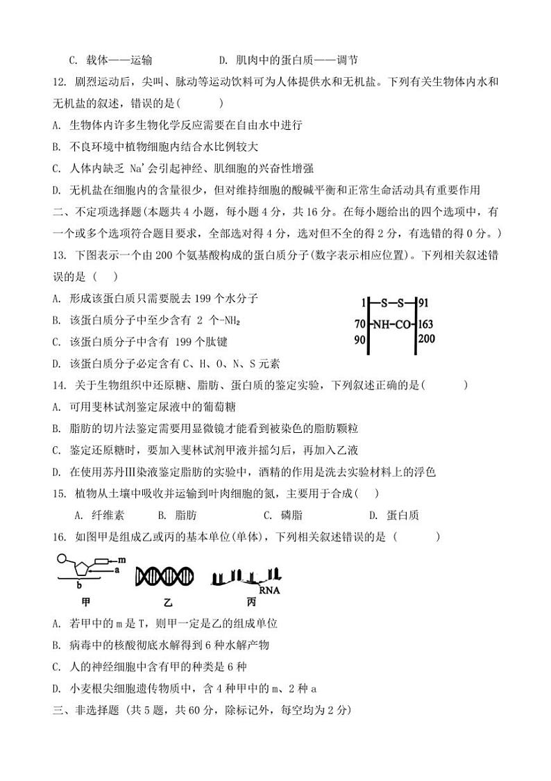 [生物]湖南省衡阳市耒阳市第一中学2024～2025学年高一上学期第一次月考题(有答案)第3页