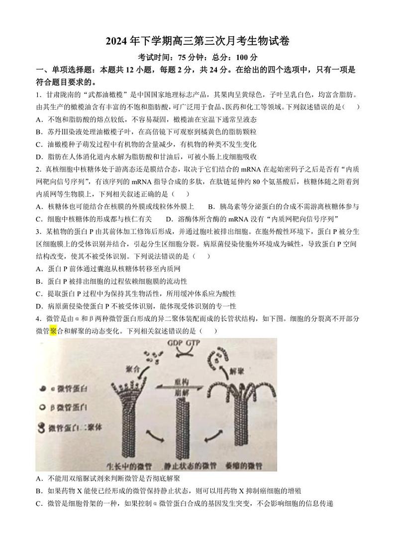 [生物]湖南省邵阳市邵东市第一中学2024～2025学年高三上学期第三次月考试题(有答案)第1页
