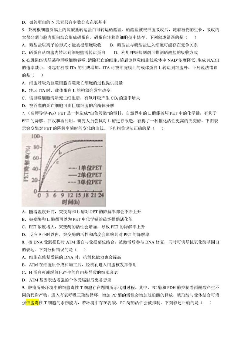 [生物]湖南省邵阳市邵东市第一中学2024～2025学年高三上学期第三次月考试题(有答案)第2页