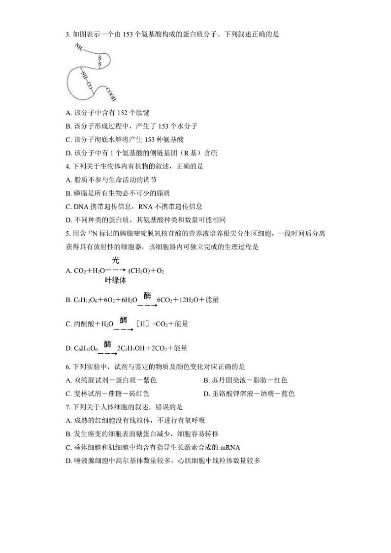 [生物]湖南省长沙市望城区长沙市望城区第二中学2024～2025学年高二上学期10月月考学试题(有答案)第2页